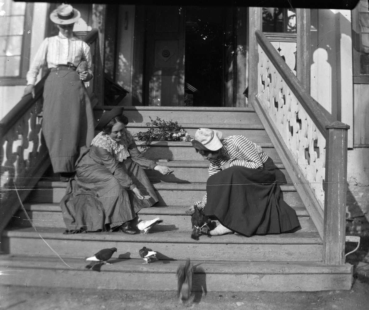 Jacob Tollesen Hoel, Hovinsholm gård, Helgøya i Ringsaker. Ukjente kvinner mater duer i trappa foran hovedbygningen. Foto Jacob Hoel.