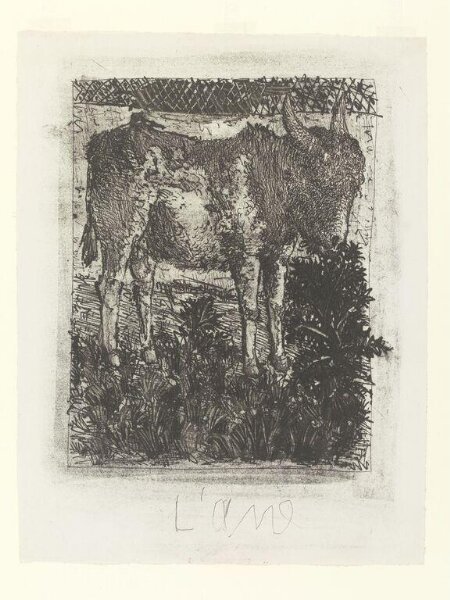 Pablo Picasso, Histoire Naturelle