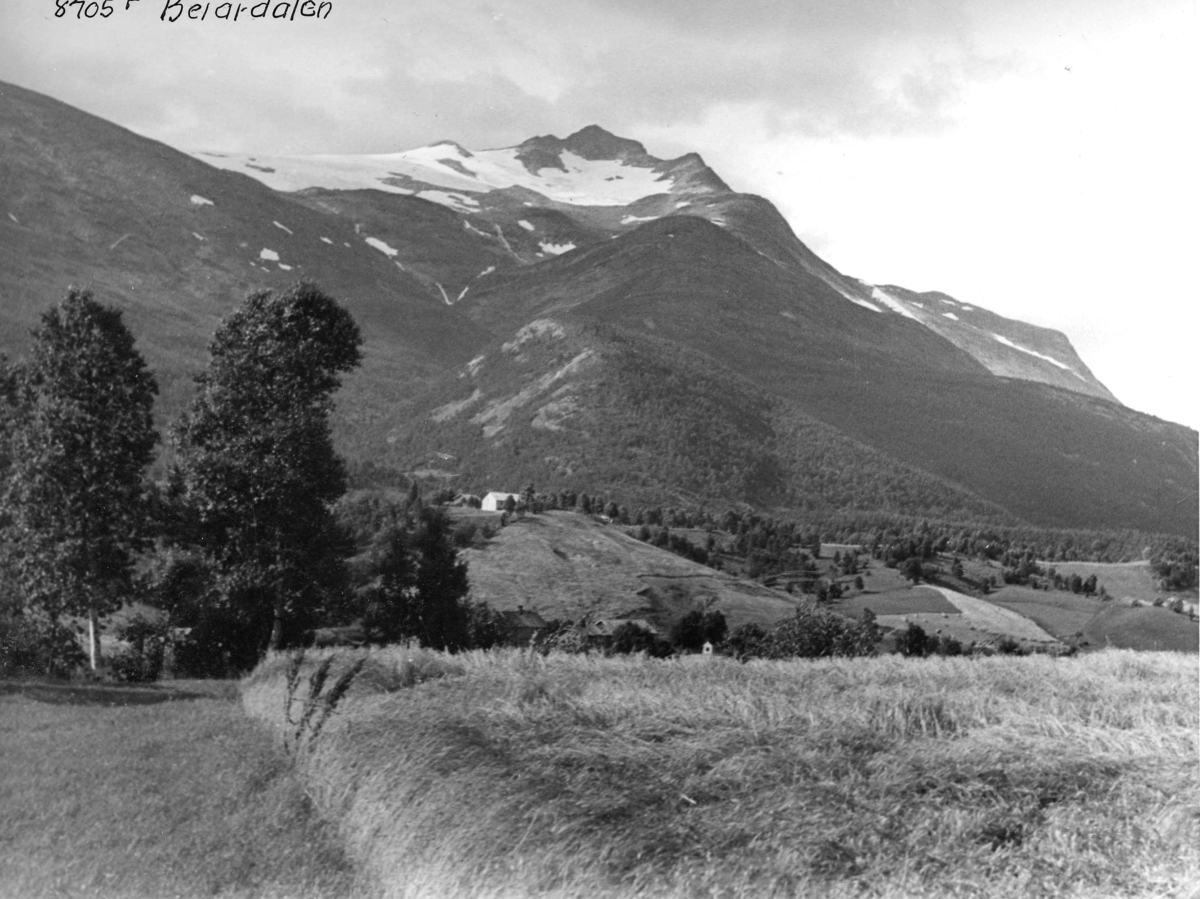 Anders Beer Wilse, Topografi