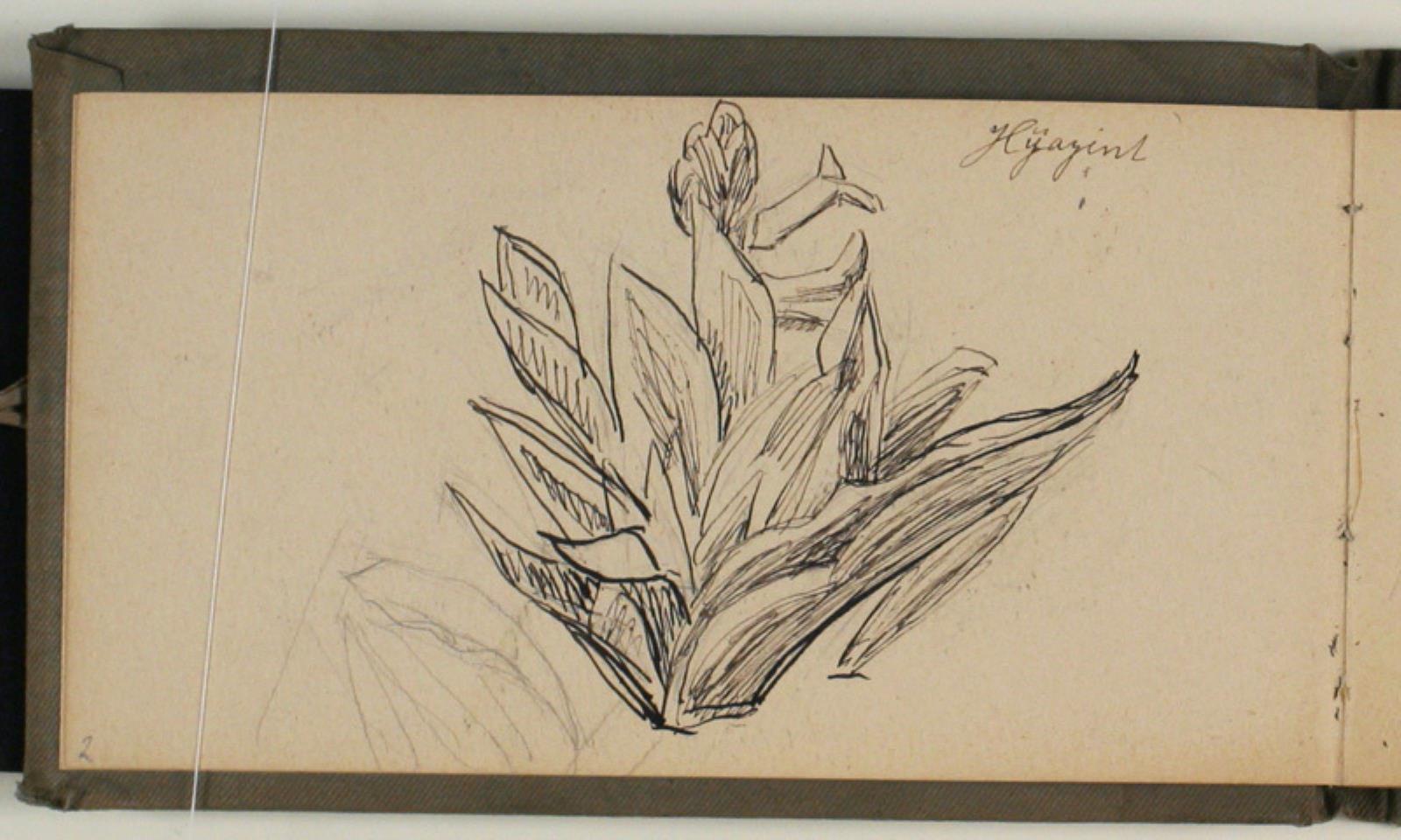 Niels Larsen Stevns, Blomsterstudier