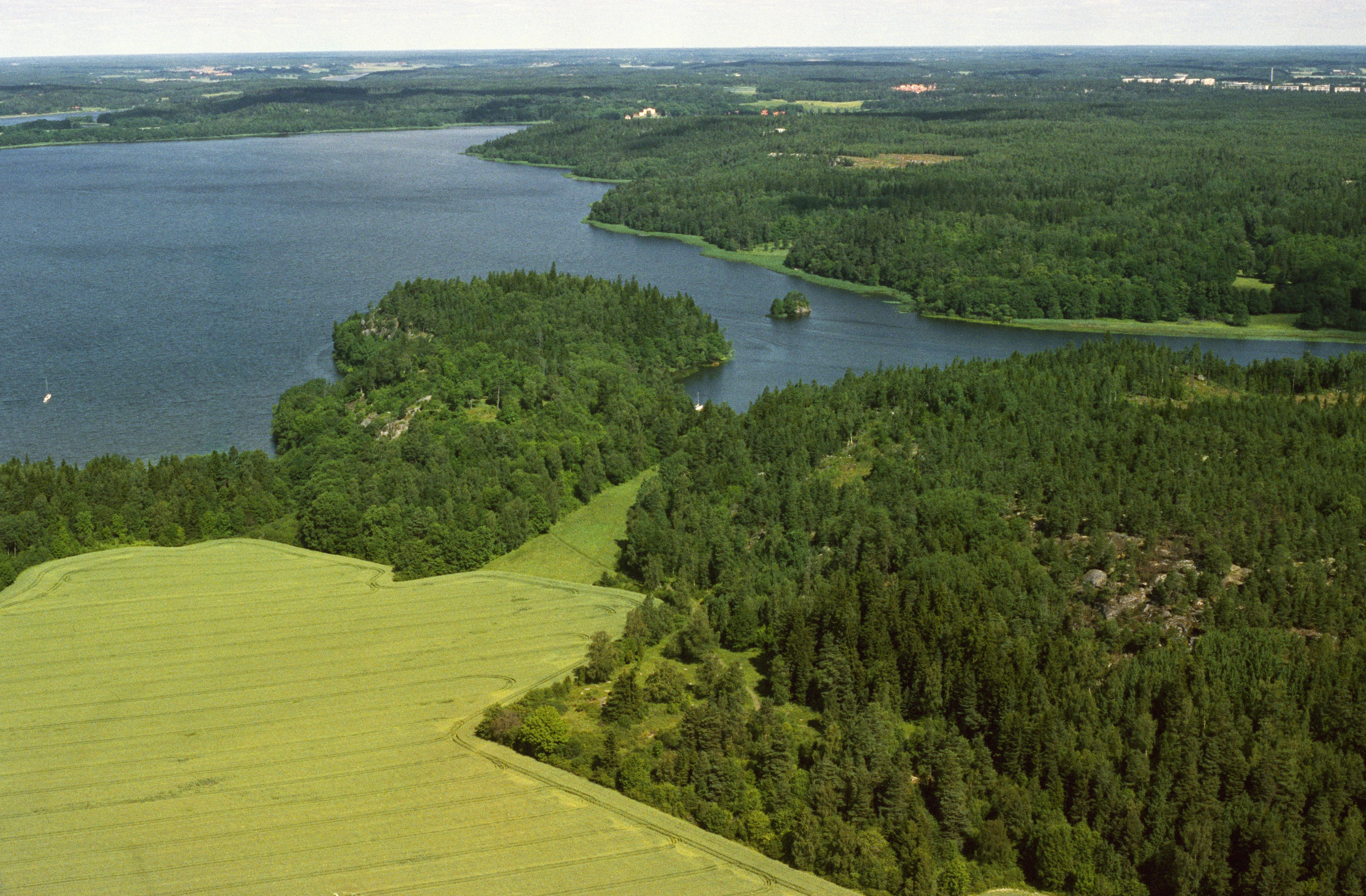 Jan Norrman, Ed 1:1