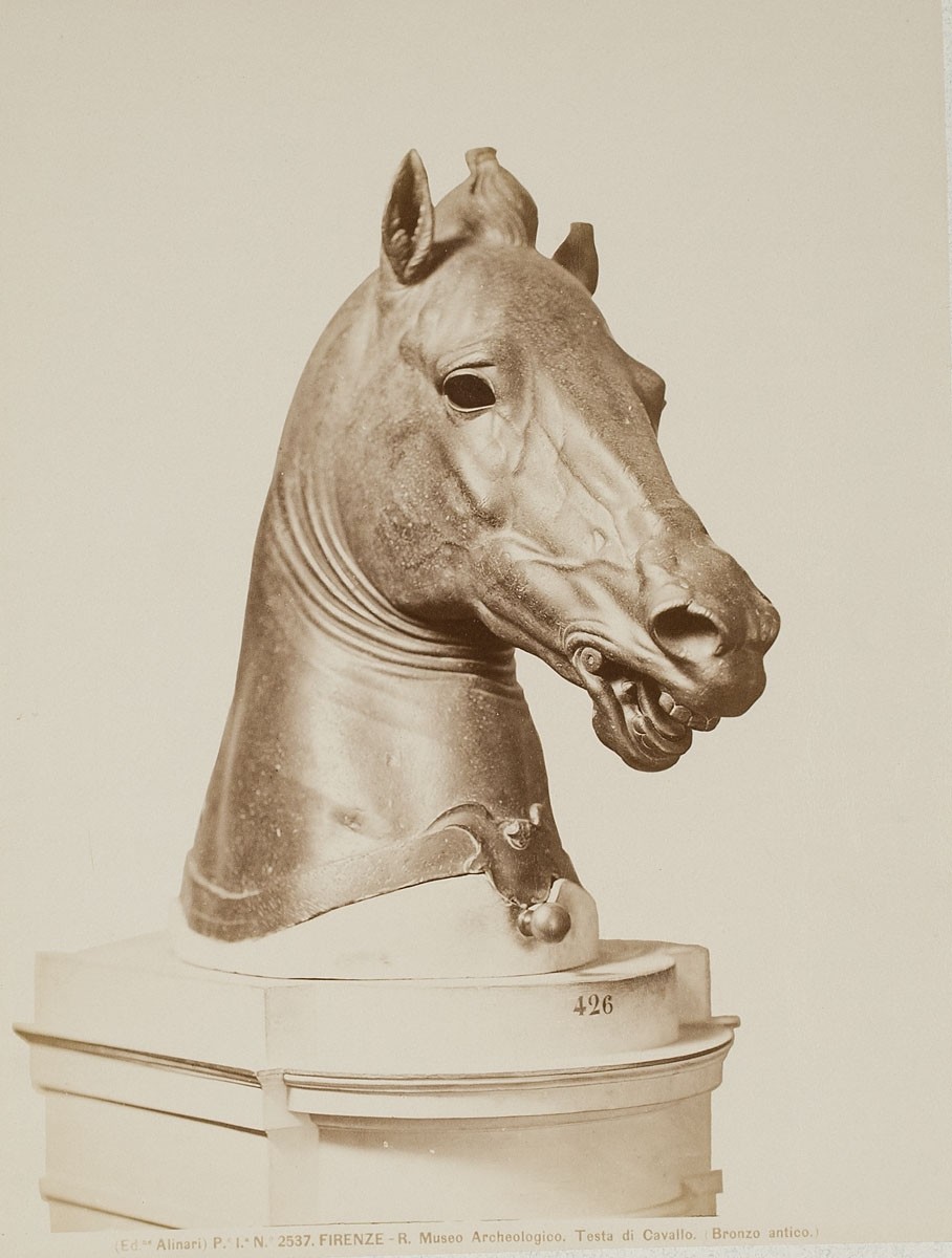 Fratelli Alinari, Pferdekopf, antike Bronze, Museo Archeologico, Florenz