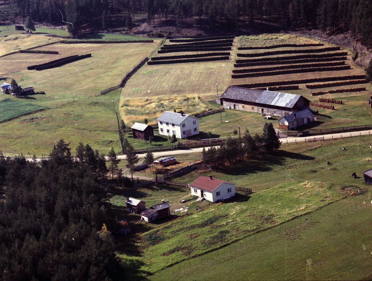 Widerøes Flyveselskap A/S, Gårdsbruk.