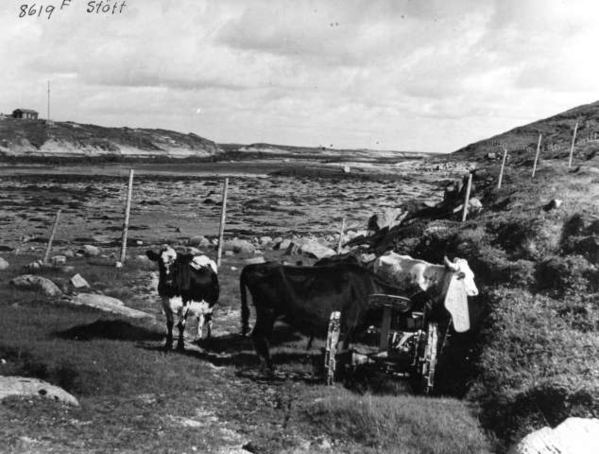 Anders Beer Wilse, Topografi