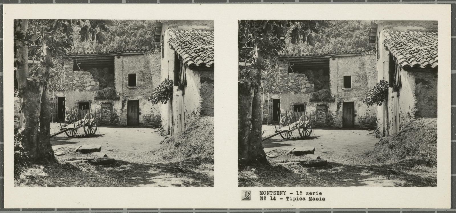 Desconegut, Montseny (Barcelona-Gerona)