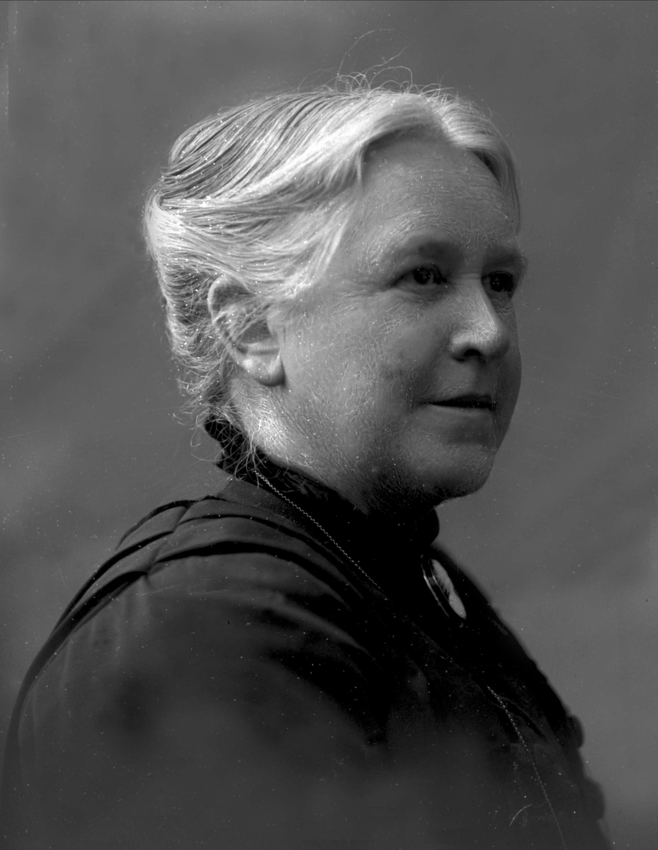 Gustav Borgen, NFB.36501
