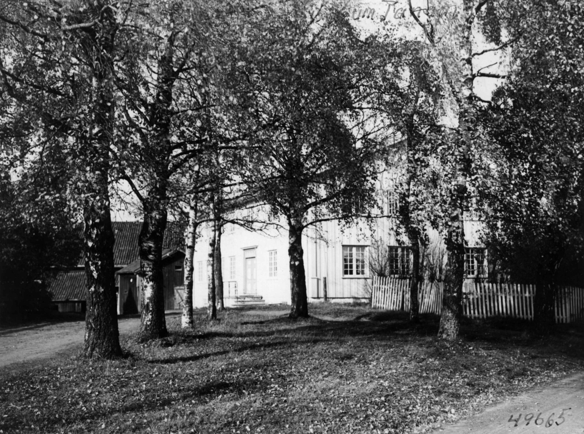 Anders Beer Wilse, Tanum gård.