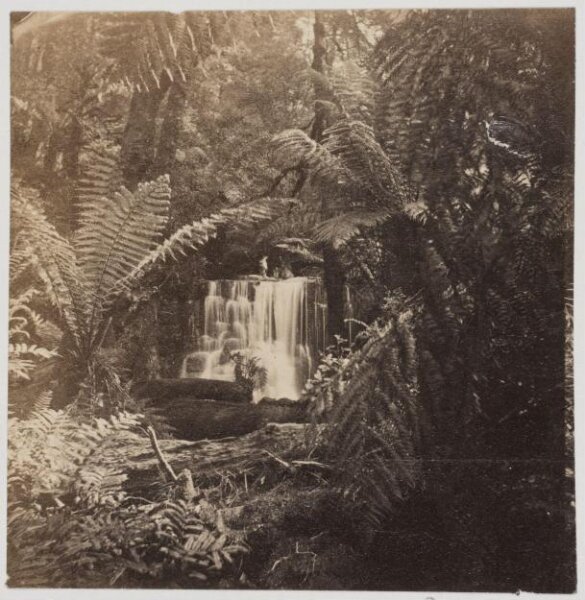 unknown, Photograph