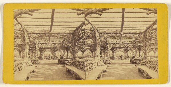 Edward and Henry T. Anthony & Co., Central Park, New York. Rustic Arbor.