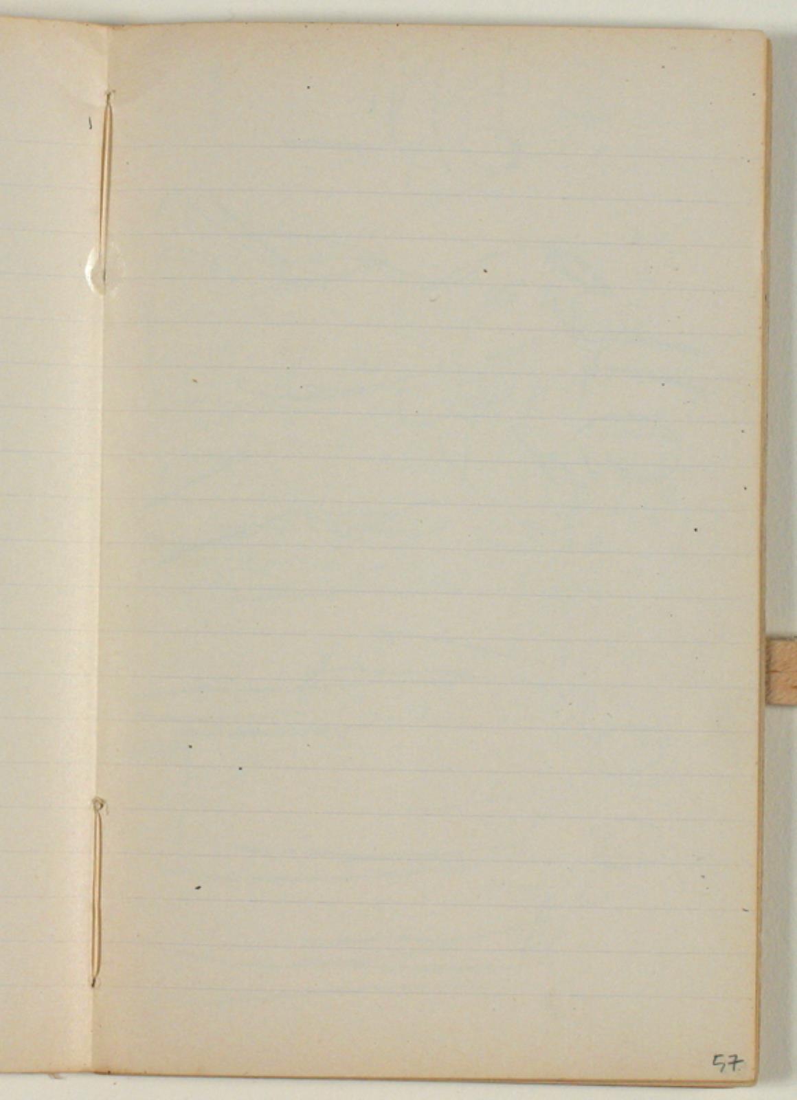 Niels Larsen Stevns, Blank