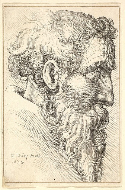 Wenceslaus Hollar, Bearded old man in profile to right
