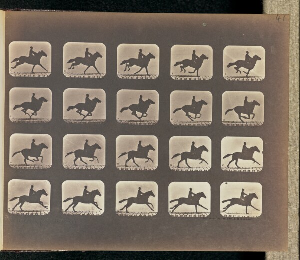 Eadweard J. Muybridge, Running (Galloping)