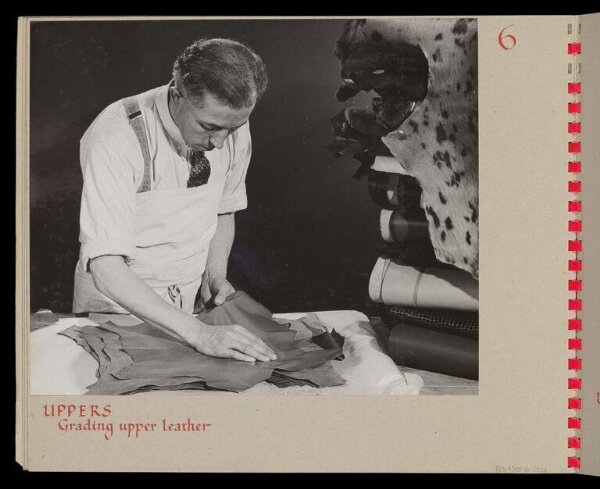 Hinde, John Wilfrid, Uppers Grading Upper Leather