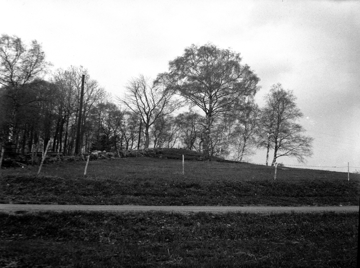 Unknown artist, Nolgården. Gravhög (odlingsröse?) i ängsmark, ca 200 m öster om gården. Nr. 30 i H. Svenssons inventering.