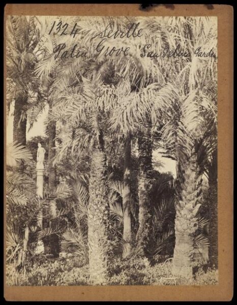 Francis Frith, Photograph