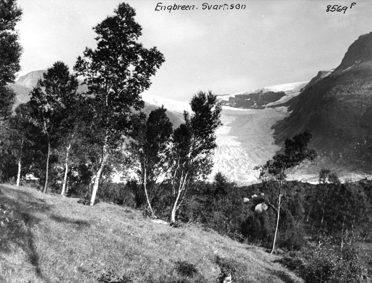 Anders Beer Wilse, Topografi