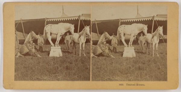 Benjamin West Kilburn, Trained Horses.