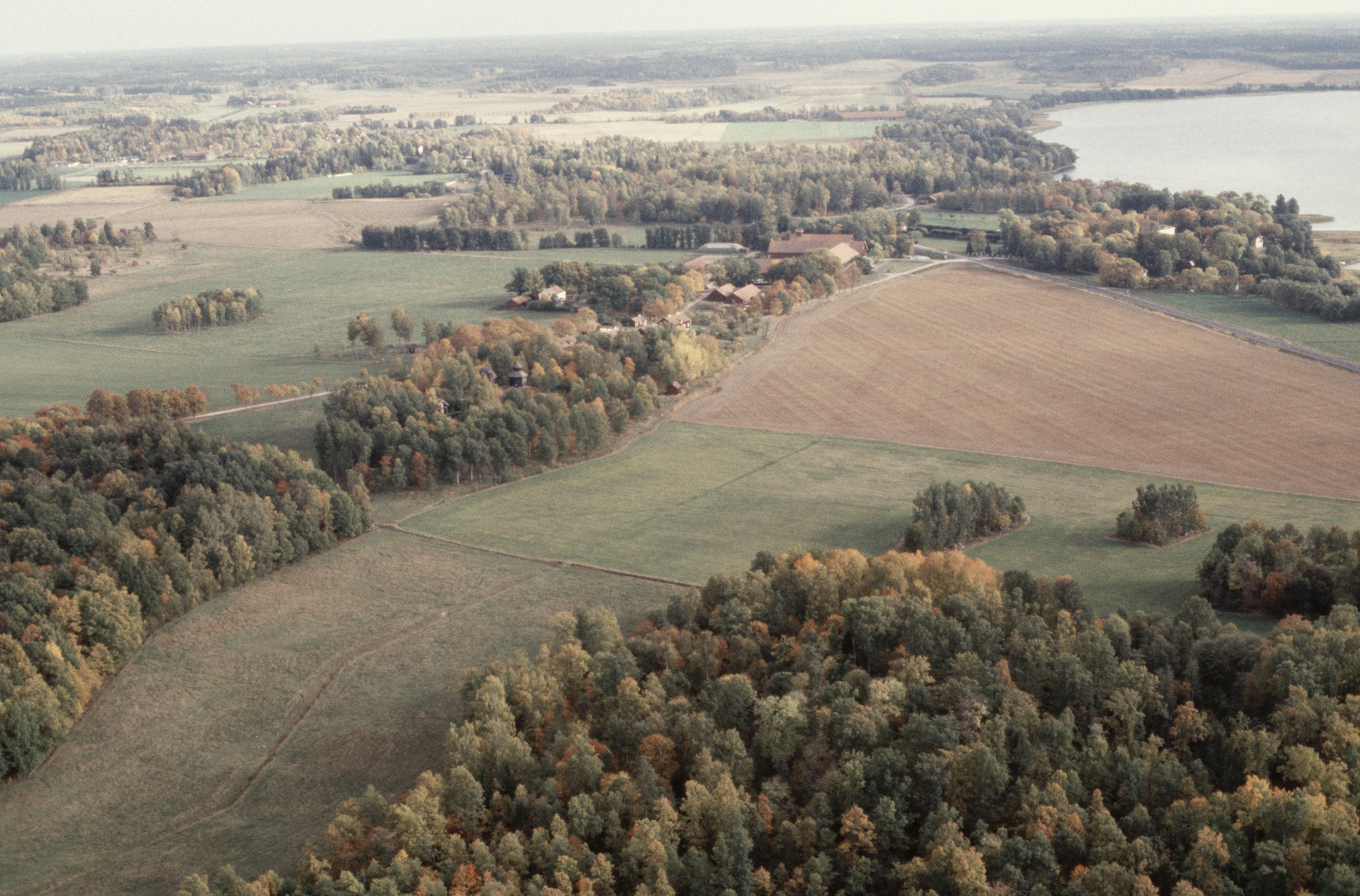 Jan Norrman, Julita 37:1