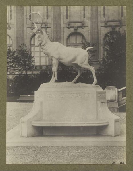 unknown, Photograph