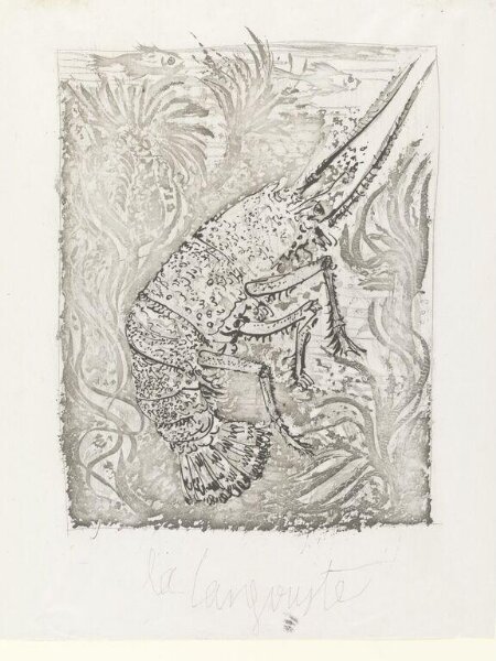 Pablo Picasso, Histoire Naturelle