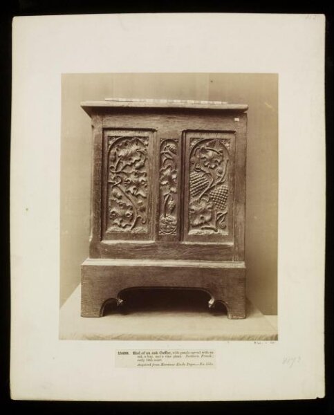 unknown, Photograph