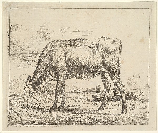 Adriaen van de Velde, Grazing Calf, plate 8 from "Different Animals"