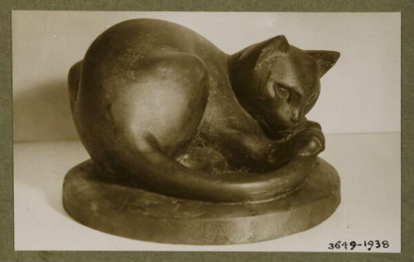 unknown, Photograph