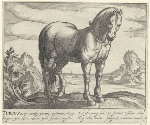 Panderen, Egbert van, (1581-1637?), (printmaker), Horse breeds: Landscape with a Turkish horse