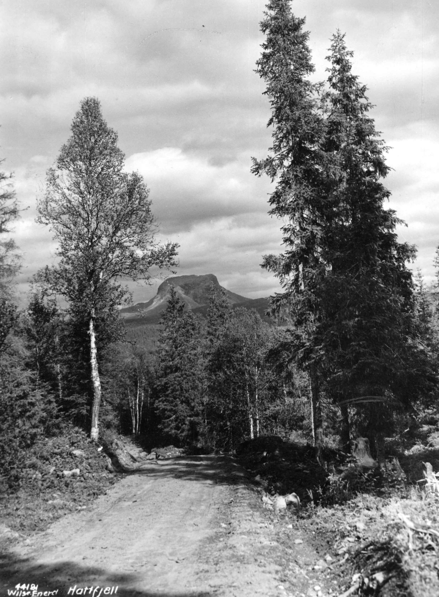 Anders Beer Wilse, Topografi