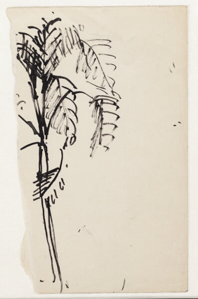 Astrid Holm, Fragment af en tegning af en palme
