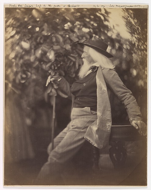 Julia Margaret Cameron, Charles Hay Cameron, Esq., in His Garden at Freshwater