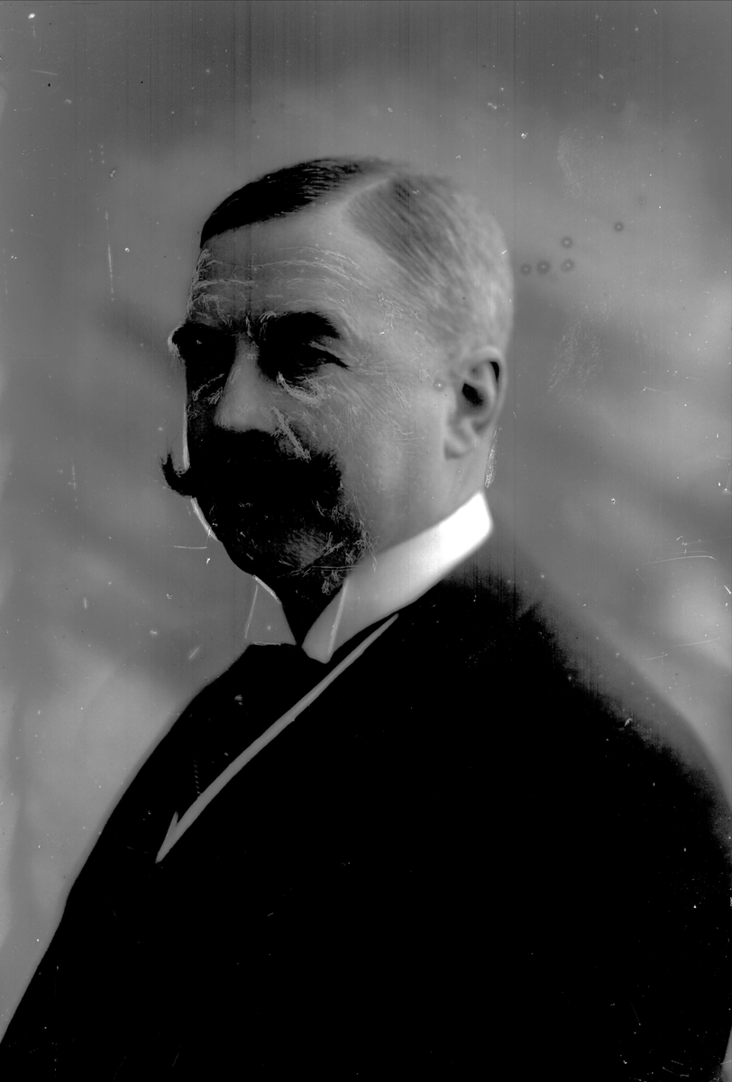 Gustav Borgen, Portrett, Ivar Aavatsmark.