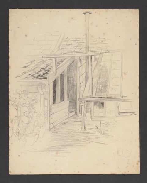 Potter, Beatrix, drawing