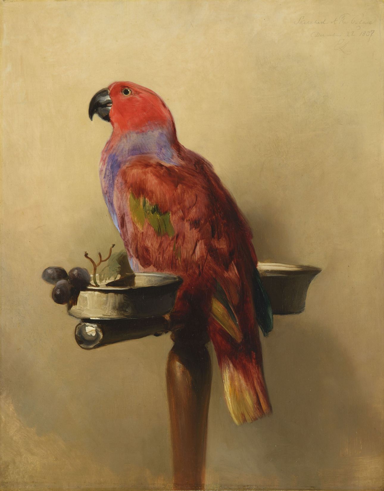 Edwin Landseer, The Lory
