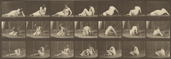 Eadweard J. Muybridge, Animal Locomotion