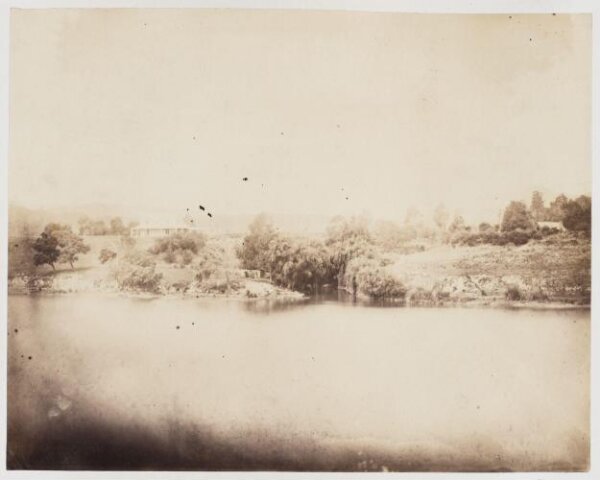Unknown, Photograph