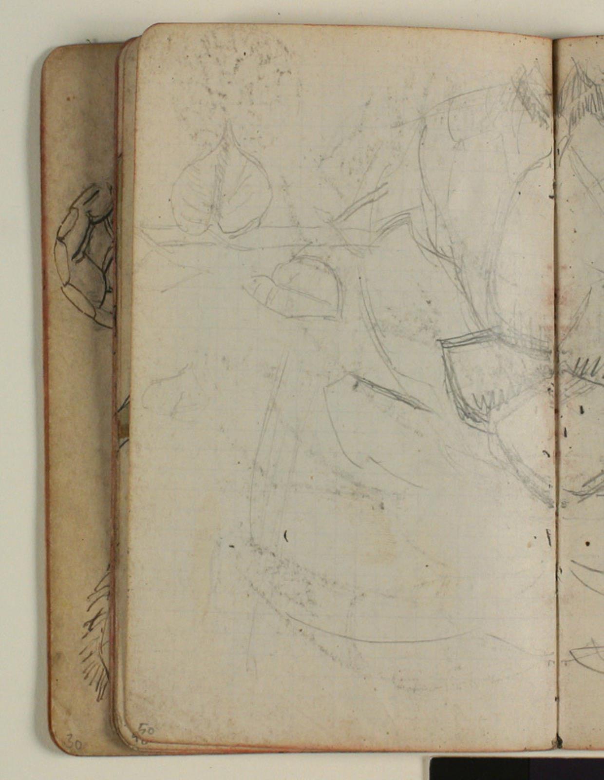 Niels Larsen Stevns, Plantestudie