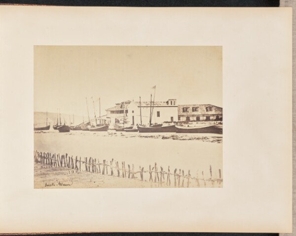 Unknown, Sainte-Maure