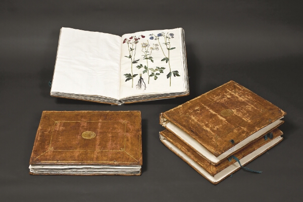 Hans Simon Holtzbecker, Gottorfer Codex, bd. 4