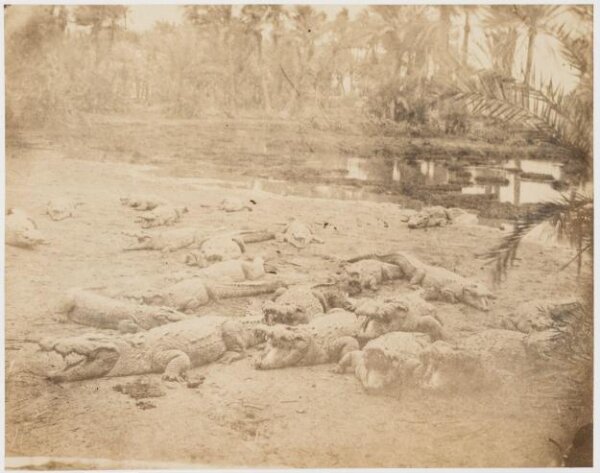 unknown, Photograph