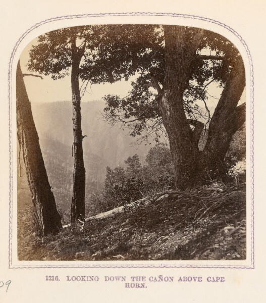 Thomas Houseworth, Looking Down the Cañon Above Cape Horn