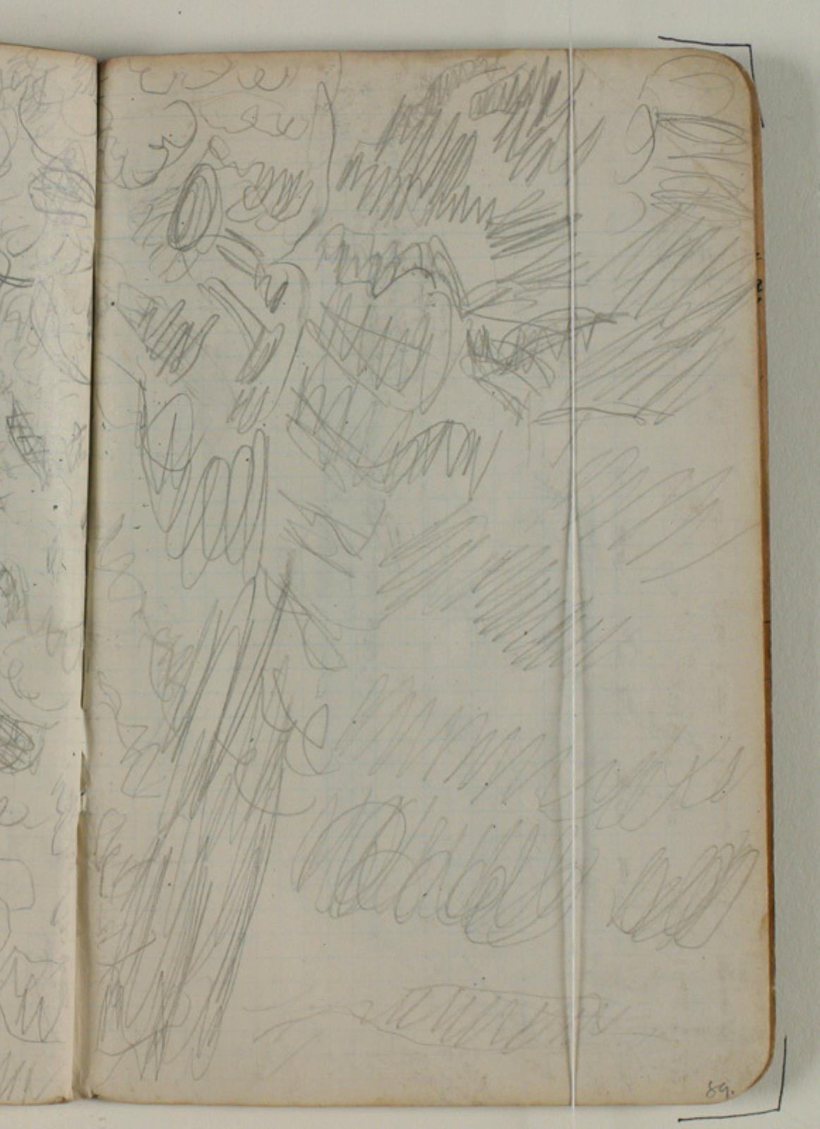 Niels Larsen Stevns, Skitse