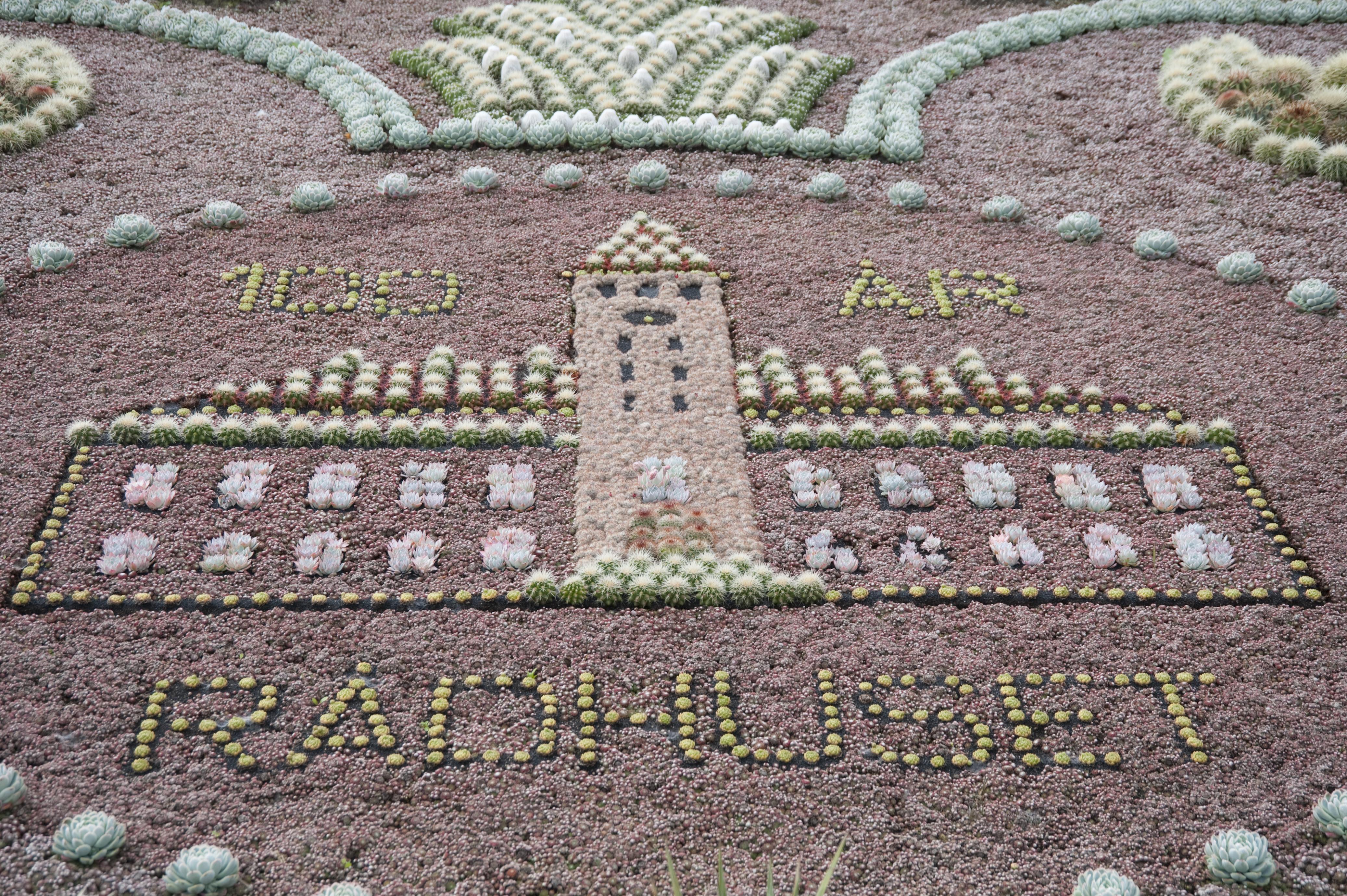 Bengt A Lundberg, Norrköping