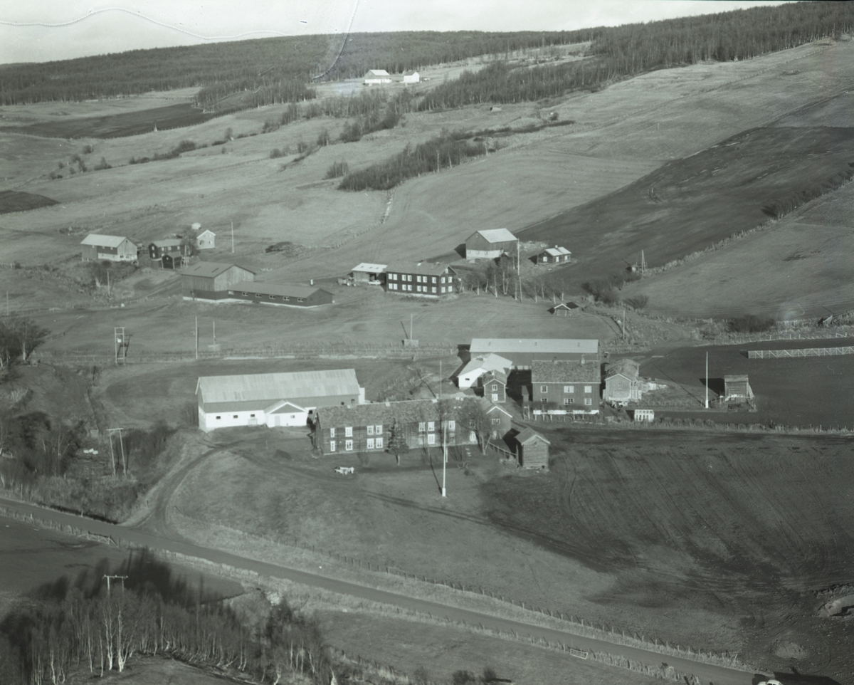 Jan Erik Øvergård, Gardsbruk Dalsbygda