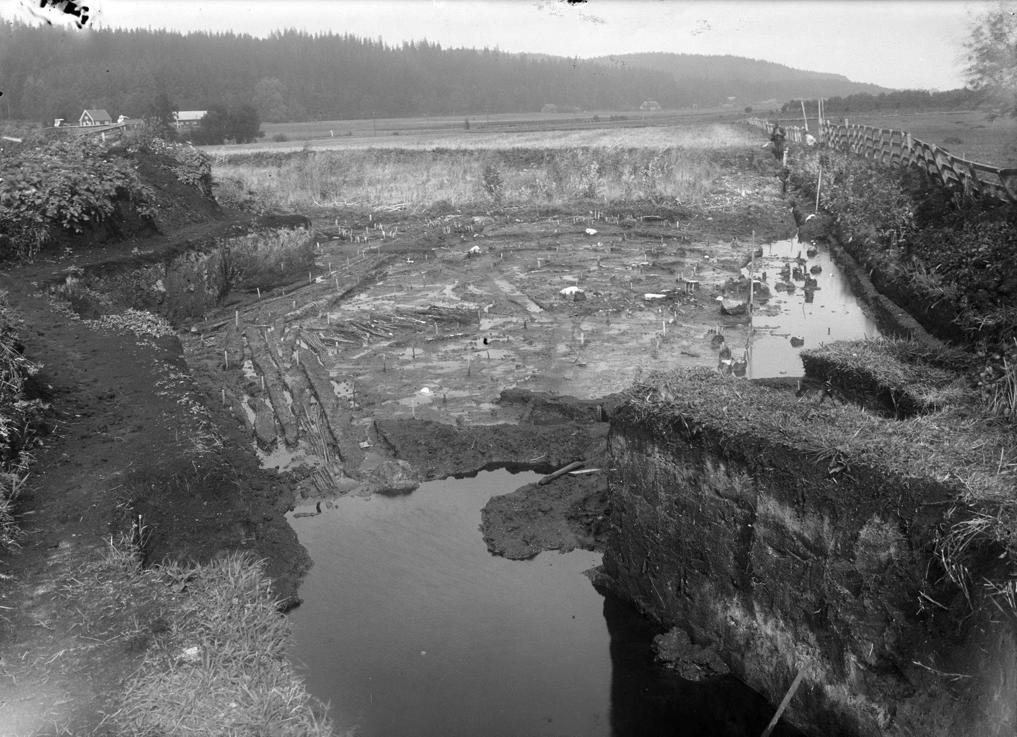 Okänd Fotograf, Alvastra pålbyggnad