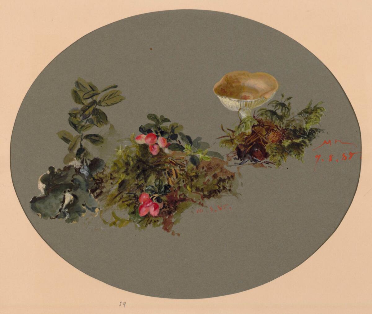 MarieLippert-Hoerner, Preiselbeeren, Pilze und Moos