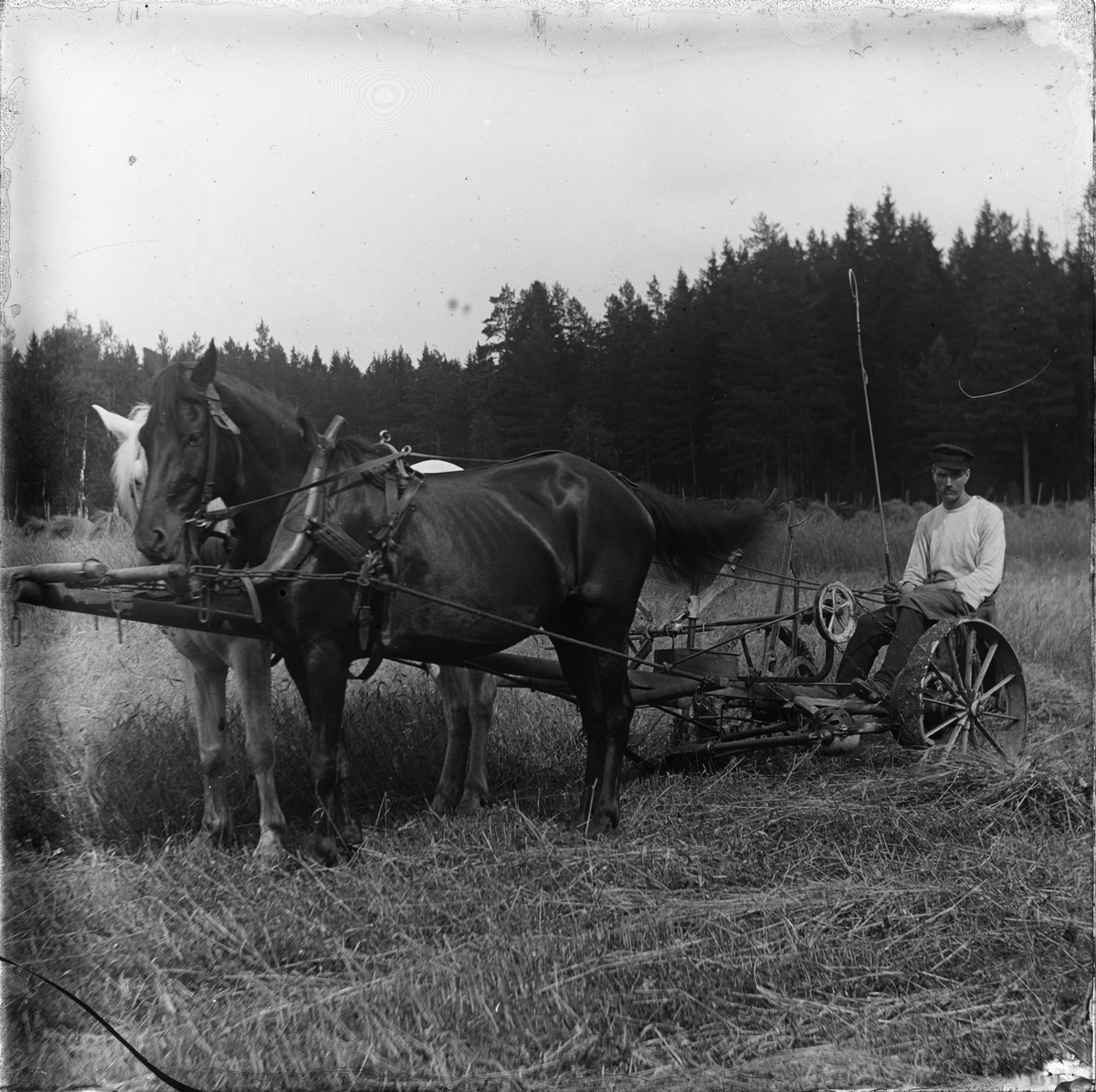 St Joseph, Skörd med hästdragen jordbruksmaskin, sannolikt Josef Ärnströms bror Albert Ärnström, Sonbo, Films socken, Uppland