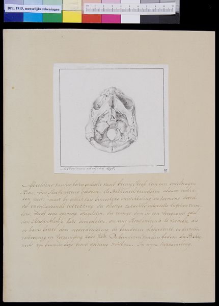 M Houtman, Child's skull