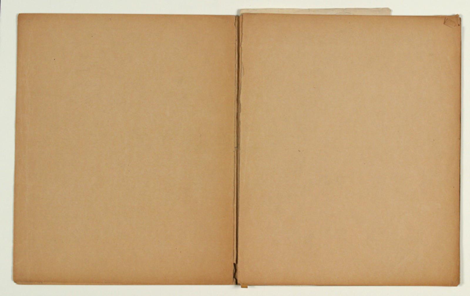 Niels Larsen Stevns, Blank