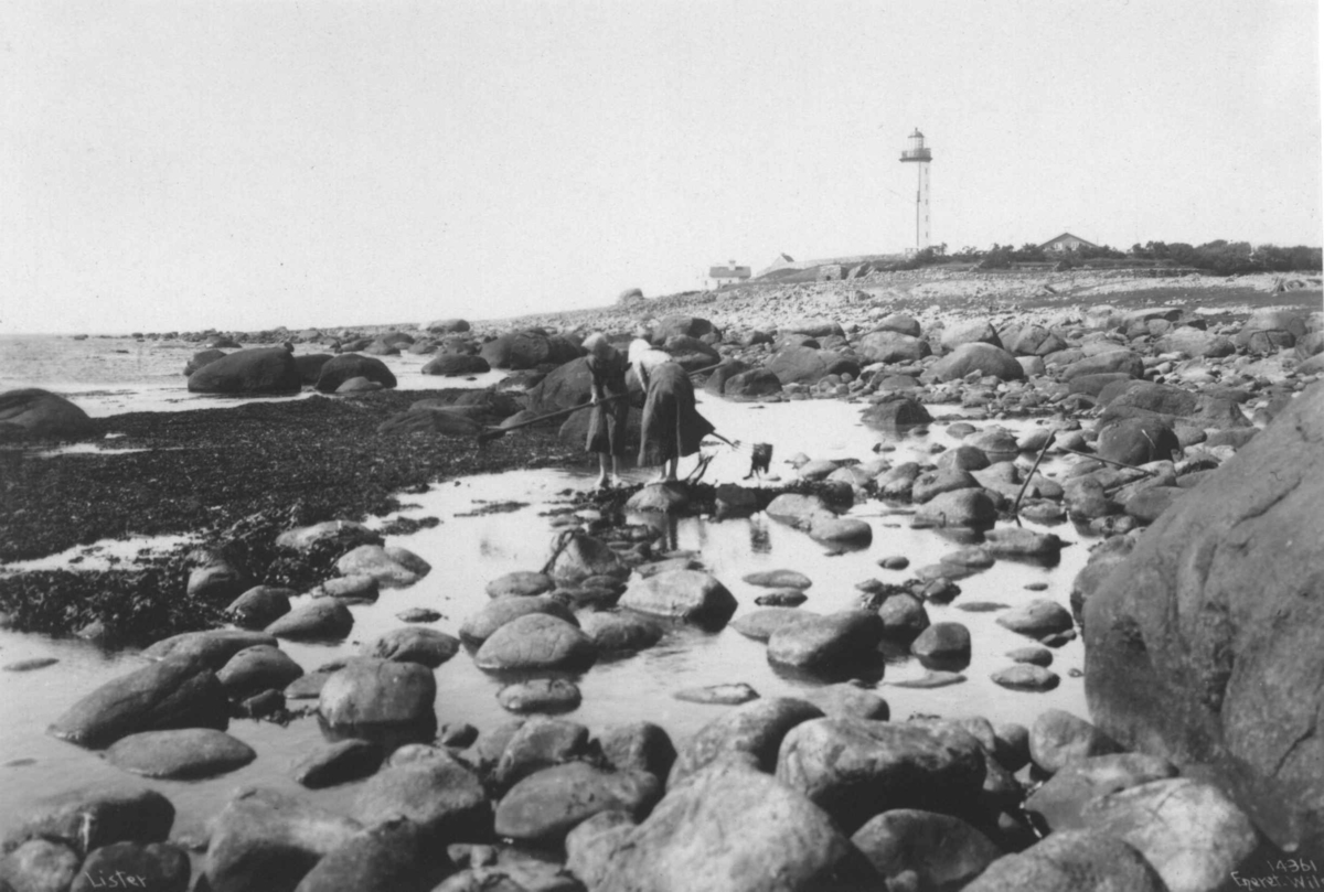 Anders Beer Wilse, Taresanking